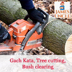 Gachh kata, Tree cutting, Bush clearing Mr. Raju Ali Gazi in Rasapunja